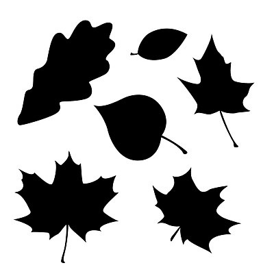 EPS 해외이미지 나무 식물 디자인 계절 줄기 잎 꽃무늬 곡선 오렌지 일러스트 자연 미술 그래픽 장식 빨간색 세트 갈색 노란색 가을 나뭇가지 우아함 떨어짐 심볼 그림 질감 정맥 엘리먼트 해외202004 해외일러스트 꽃 선 컬러 컨셉 무늬 과일 문화예술 생태계 혈관 파일형식 벡터 이미지허브