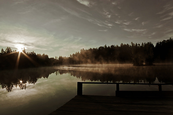포토 JPG 해외이미지 나무 구름 호수 자연 하늘 풍경 사람없음 야외 가로 물 빛 태양 일출 맑음 검은색 새벽 회색 안개 광선 가을 신선 숲 신비 해외202004 해외포토 자연요소 식물 계절 컬러 컨셉 날씨 노을 생태계 파일형식 이미지허브