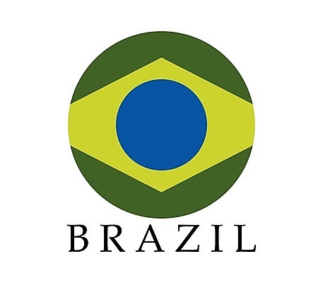 EPS 해외이미지 모양 디자인 배너 별 백그라운드 일러스트 그래픽 가로 초록색 파란색 노란색 지구본 깃발 물개 심볼 사인 무역 신분 브라질 애국심 엘리먼트 전국 브라질사람 정확 해외202004 해외일러스트 자연요소 산업 컬러 컨셉 포유류 바다동물 남아메리카 파일형식 벡터 이미지허브