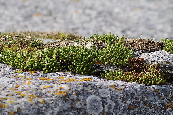 포토 JPG 해외이미지 구름 바다 하늘 노르웨이 풍경 사람없음 파란색 빛 북극 해외202004 해외포토 자연요소 유럽 컬러 극지방 파일형식 이미지허브
