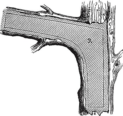 EPS 해외이미지 모양 나무 조각 일러스트 부분 항해 미술 목재 검은색 수확 골동품 흰색 자르기 그림 치수 판화 잡동사니 방앗간 수목 옛날 톱질 해외202004 해외일러스트 식물 컬러 농업 배_교통 재료 모션 문화예술 파일형식 벡터 이미지허브