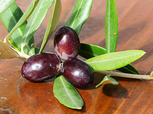 포토 JPG 해외이미지 나무 식물 전통 디자인 음식 백그라운드 잎 꽃무늬 다이어트 채소 포장 텍스트 자연 건강 요리 미술 사람없음 목재 치료 초록색 라벨 우주 식당 정원 검은색 화장품 수확 성장 나뭇가지 신선 스페인 지중해 그리스 유기농 올리브 내추럴 숙성 엘리먼트 채식주의자 카피스페이스 해외202004 해외포토 웰빙 열매 꽃 유럽 바다 컬러 무늬 농업 재료 의학 문화예술 프레임 뷰티 상점 공백 생태계 채식 파일형식 이미지허브