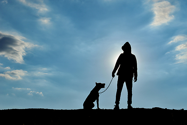 포토 JPG 해외이미지 실루엣 밭 사람없음 에너지 자신감 발표 개 보호 위험 역동적 지역 주인 해외202004 해외포토 감정 컨셉 농업 포유류 촬영기법 파일형식 이미지허브