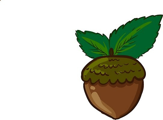 EPS 해외이미지 식물 음식 잎 과일 일러스트 재료 건강 씨앗 갈색 초콜릿 견과류 껍질 그룹 맛 먹기 심볼 오브젝트 유기농 내추럴 개암나무 고립 개암 해외202004 해외일러스트 나무 웰빙 열매 컬러 컨셉 모션 디저트 파일형식 벡터 이미지허브