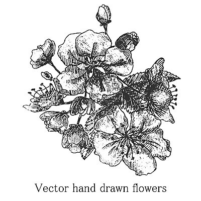 EPS 해외이미지 모양 디자인 꽃 실루엣 선 꽃다발 백그라운드 잎 패턴 곡선 일러스트 자연 벽지 추상 그래픽 장식 수확 벚꽃 직물 인사 신용카드 화려 개화 스케치 그림 질감 복고 윤곽 초대 공상 해외202004 해외일러스트 식물 컨셉 무늬 농업 촬영기법 미술 금융 예절 생태계 파일형식 벡터 이미지허브