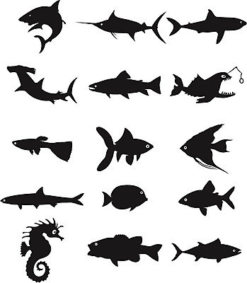 EPS 해외이미지 동물 실루엣 바다 일러스트 그림자 어류 검은색 참치 금붕어 육식동물 지느러미 연어 상어 턱 깊이 해외202004 해외일러스트 컬러 촬영기법 수중동물 파일형식 벡터 이미지허브