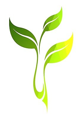 EPS 해외이미지 모양 나무 식물 디자인 실루엣 커피 컨셉 단풍 잎 꽃무늬 곡선 일러스트 비즈니스 자연 병원 그래픽 여름 파란색 숫자 라벨 환경 검은색 봄 가을 흰색 차 심볼 사인 그림 에코 브런치 윤곽 아로마 에메랄드 내추럴 고립 떠남 생태학 엘리먼트 활자 해외202004 해외일러스트 문자 계절 교육 꽃 음료 선 컬러 무늬 의학 모션 프레임 촬영기법 식사 보석 생태계 활자판 파일형식 벡터 이미지허브