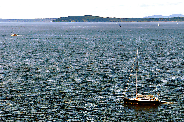 포토 JPG 해외이미지 요트 산 항해 사람없음 물 소리 보트 뱃놀이 시애틀 워싱턴 해외202004 해외포토 자연요소 배_교통 전통놀이 미국 파일형식 이미지허브