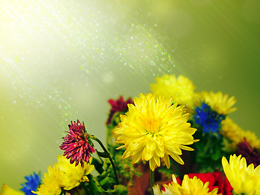 포토 JPG 해외이미지 여자 꽃 꽃다발 결혼 백그라운드 꽃무늬 결혼식 동화 휴가 친절 이야기 사랑 사람없음 초록색 빛 유행 봄 광선 꽃집 묘사 엽서 우화 해외202004 해외포토 식물 계절 감정 컬러 무늬 사람 이벤트 상점 편지 파일형식 이미지허브