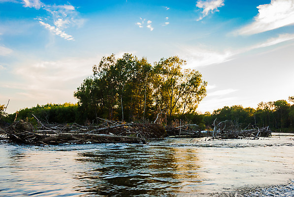 포토 JPG 해외이미지 나무 구름 야생동물 백그라운드 잎 곡선 하늘 풍경 사람없음 가로 초록색 물 파란색 강 일출 환경 일몰 새벽 흐름 추위 안개 가을 저녁 숲 땅 북극 러시아 지역 해외202004 해외포토 자연요소 식물 동물 계절 유럽 선 컬러 컨셉 날씨 노을 야간 극지방 파일형식 이미지허브