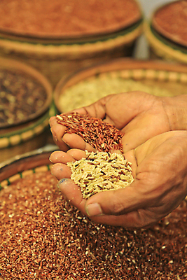 포토 JPG 해외이미지 전통 손 산업 음식 농업 다이어트 채소 재료 태국 밥 건강 옥수수 요리 씨앗 사람 동양인 사람없음 농작물 바구니 상점 주방 식사 중국 활발 수확 시골 맛 농부 낟알 시리얼 먹기 대나무 유기농 알맹이 날것 팔 점심식사 생식 숙성 채식주의자 핵심 해외202004 해외포토 나무 식물 직업 웰빙 아시아 컨셉 모션 곡류 인종 신체부위 채식 파일형식 이미지허브