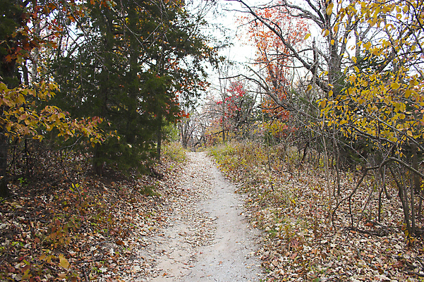 포토 JPG 해외이미지 나무 계절 도로 단풍 잎 오렌지 자국 자연 하늘 휴식 따뜻함 사람없음 빨간색 파란색 빛 노란색 평화 정원 가을 시원함 해외202004 해외포토 식물 길 컬러 컨셉 과일 교통시설 생태계 파일형식 이미지허브