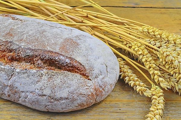 포토 JPG 해외이미지 식물 잡화 음식 빵 백그라운드 농업 탁자 프레임 건강 옥수수 씨앗 사람없음 목재 여름 농장 갈색 노란색 우주 식사 침묵 빵집 수확 껍질 가을 흰색 시골 신선 황금 낟알 시리얼 밀 굽기 유기농 귀 밀가루 밀짚 덩어리 내추럴 구성 핸드메이드 호밀 귀리 해외202004 해외포토 나무 웰빙 계절 산업 컬러 가구 재료 곡류 신체부위 상점 소리 짚 가루 구이 파일형식 이미지허브