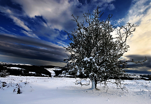 포토 JPG 해외이미지 나무 구름 계절 공원 겨울 밭 하늘 영국 잉글랜드 사람없음 파란색 울타리 냉동 얼음 회색 추위 흰색 나뭇가지 황무지 위험 땅 눈보라 2월 다트무어 왕국 전국 해외202004 해외포토 자연요소 식물 공공시설 유럽 컬러 컨셉 농업 눈_날씨 담장 날짜 파일형식 이미지허브