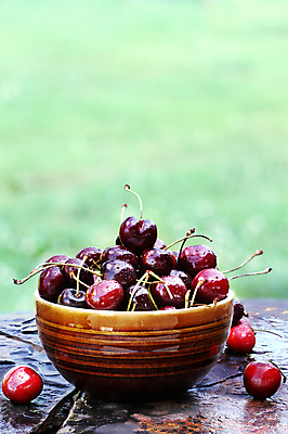 포토 JPG 해외이미지 열매 음식 줄기 농업 과일 자연 건강 사람없음 빨간색 세로 여름 농작물 봄 젖음 수확 시골 신선 체리 사발 달콤 이슬 그림 유기농 날것 흙더미 숙성 정물화 채식주의자 많음 카피스페이스 비건 해외202004 해외포토 식물 웰빙 계절 산업 컬러 컨셉 흙 공백 사기그릇 맛 생태계 채식 파일형식 더미 이미지허브
