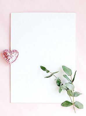 포토 JPG 해외이미지 꽃 종이 프레임 선물 사람없음 장미 나뭇가지 목업 해외202004 해외포토 나무 식물 파일형식 이미지허브