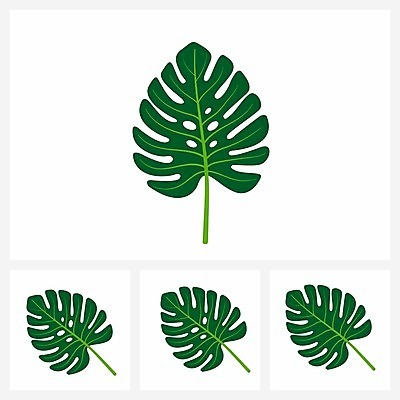 EPS 해외이미지 나무 식물 디자인 계절 백그라운드 잎 꽃무늬 패턴 일러스트 자연 추상 미술 그래픽 장식 초록색 여름 유행 환경 정원 봄 나뭇가지 숲 스케치 심볼 사인 에코 유기농 질감 복고 내추럴 고립 그런지 생태학 엘리먼트 이국적 해외202004 해외일러스트 웰빙 교육 꽃 컬러 무늬 문화예술 생태계 파일형식 벡터 이미지허브