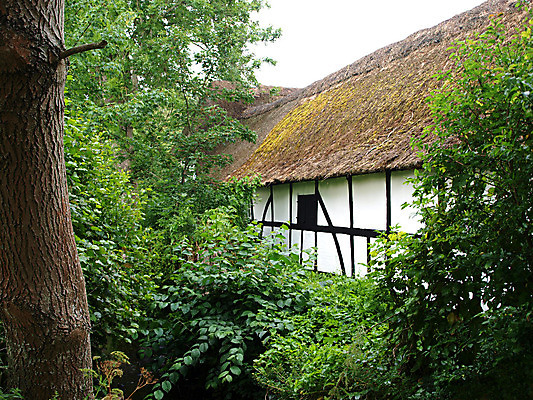 포토 JPG 해외이미지 전통 유럽 문화 건축양식 창문 지붕 주택 덴마크 사람없음 건물 농장 마을 시골 볏짚 시골집 밀짚 구식 볏집 옛날 스타일 해외202004 해외포토 건축물 건축 나라 농업 북유럽 짚 파일형식 이미지허브