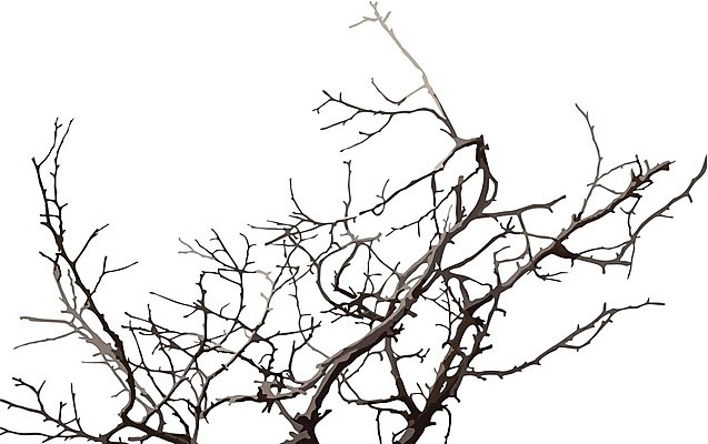 EPS 해외이미지 나무 식물 디자인 일러스트 자연 건조 흰색 나뭇가지 죽음 만화 심볼 흰배경 그림 고립 해외202004 해외일러스트 컬러 백그라운드 생태계 파일형식 벡터 이미지허브