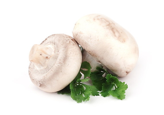 포토 JPG 해외이미지 음식 백그라운드 채소 재료 사람없음 반사 버섯 흰색 신선 수집 먹기 오브젝트 유기농 고립 숙성 식용 채식주의자 해외202004 해외포토 웰빙 컬러 모션 채식 파일형식 이미지허브