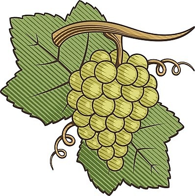 EPS 해외이미지 식물 디자인 열매 음식 잎 과일 일러스트 자연 포도 건강 그래픽 초록색 여름 수확 가을 흰색 나뭇가지 신선 달콤 심볼 그림 유기농 포도나무 판화 내추럴 고립 목판화 숙성 해외202004 해외일러스트 나무 웰빙 계절 컬러 농업 미술 맛 과일나무 생태계 파일형식 벡터 이미지허브