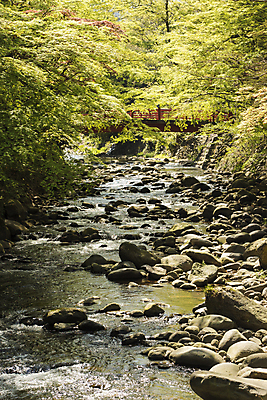 포토 JPG 해외이미지 나무 식물 계절 공원 호수 낙엽 잎 자연 휴식 풍경 사람없음 야외 목재 초록색 물 여름 강 햇빛 평화 환경 정원 맑음 침묵 봄 나뭇가지 시골 연못 신선 숲 순수 장면 지역 내추럴 평야 해외202004 해외포토 자연요소 공공시설 컬러 컨셉 재료 날씨 태양 소리 생태계 파일형식 이미지허브