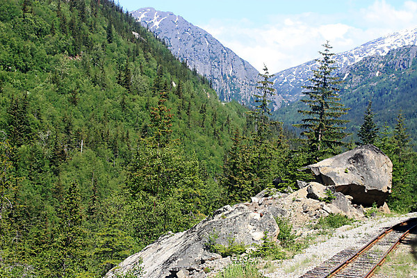포토 JPG 해외이미지 나무 도로 길 선 여행 곡선 교통시설 자연 하늘 산 항해 숙이기 풍경 사람없음 야외 목재 초록색 물 여름 강 금속 기차 수확 가을 숲 철 방법 벌거벗은 선로 옛날 철강 가문비나무 해외202004 해외포토 자연요소 식물 계절 육상교통 컬러 포즈 교통 농업 배_교통 재료 재질 대중교통 시설 생태계 파일형식 이미지허브