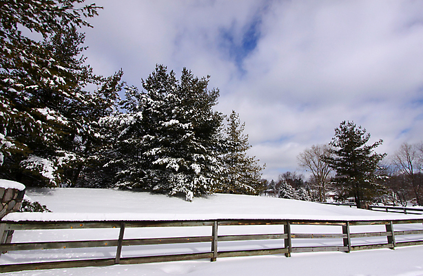 포토 JPG 해외이미지 나무 구름 겨울 자연 하늘 아침 건조 풍경 사람없음 파란색 울타리 컬러풀 추위 소나무 12월 장면 1월 눈내림 해외202004 해외포토 주간 자연요소 식물 계절 컬러 눈_날씨 담장 날짜 생태계 파일형식 이미지허브