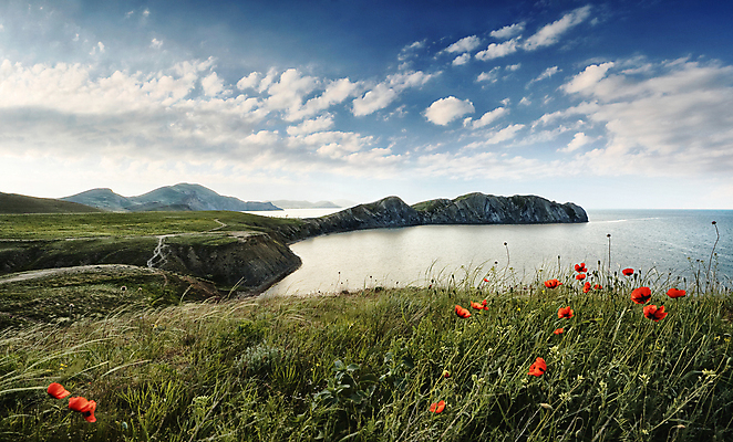 포토 JPG 해외이미지 구름 꽃 도로 바다 여행 자연 하늘 산 파노라마 풍경 잔디 사람없음 야외 초록색 물 파란색 빛 햇빛 침묵 봄 자유 만 망토 5월 깃털 언덕 양귀비 내추럴 깊이 카멜레온 수평선 해외202004 해외포토 자연요소 식물 계절 길 컬러 컨셉 교통시설 파충류 촬영기법 태양 소리 날짜 생태계 파일형식 이미지허브