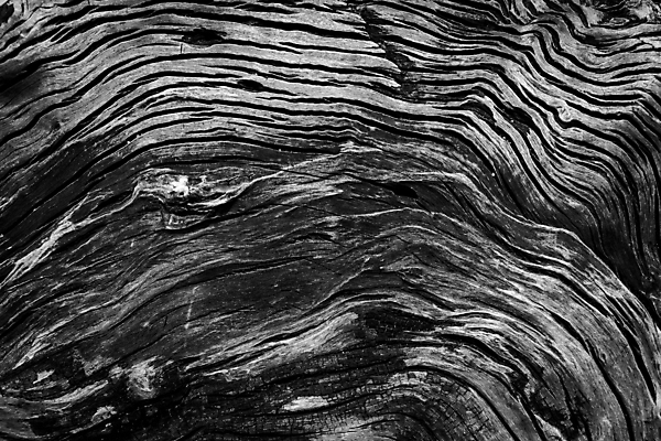 포토 JPG 해외이미지 모양 선 백그라운드 패턴 자연 표면 추상 사람없음 목재 검은색 흰색 거친 균열 피부 묘사 오브젝트 질감 내추럴 썩음 옛날 해외202004 해외포토 나무 컬러 무늬 재료 모션 신체부위 생태계 파일형식 이미지허브