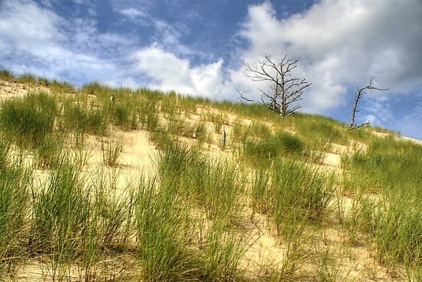 포토 JPG 해외이미지 구름 공원 모래 벽지 하늘 휴가 따뜻함 풍경 사람없음 여름 햇빛 태양 맑음 사막 뜨거움 6월 모래언덕 8월 7월 전국 해외202004 해외포토 자연요소 계절 공공시설 날씨 날짜 언덕 파일형식 이미지허브