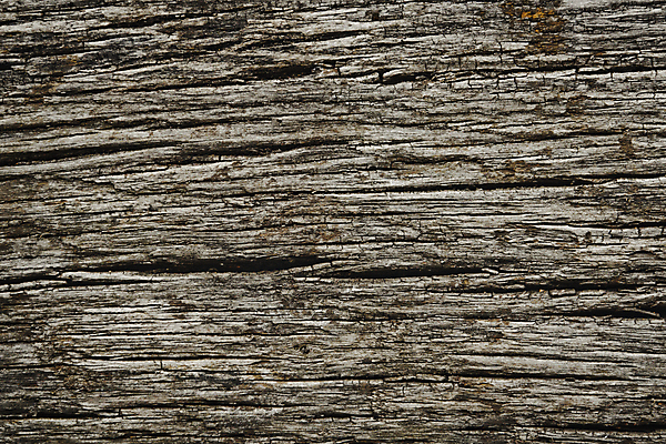 포토 JPG 해외이미지 나무 디자인 벽 백그라운드 패턴 자연 벽지 표면 날씨 추상 바닥 건조 사람없음 목재 가로 검은색 어둠 줄무늬 수확 시골 거친 닫기 낟알 묘사 질감 복고 내추럴 그런지 수목 엘리먼트 옛날 필터 효과 해외202004 해외포토 식물 컬러 무늬 농업 재료 모션 생태계 파일형식 이미지허브