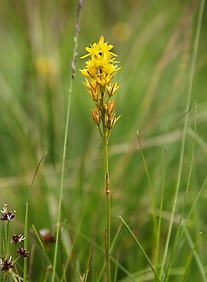 포토 JPG 해외이미지 식물 사람없음 젖음 습지 변소 해외202004 해외포토 파일형식 이미지허브
