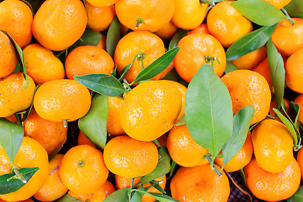 포토 JPG 해외이미지 계절 산업 음식 백그라운드 잎 농업 다이어트 오렌지 과일 자연 탁자 귤 건강 씨앗 사람없음 초록색 파란색 컬러풀 농장 노란색 쌓기 상점 주스 봄 흰색 직물 신선 원형 시장 달콤 맛 아침식사 다발 먹기 가득함 피부 유기농 내추럴 숙성 채식주의자 많음 해외202004 해외포토 도형 식물 웰빙 음료 컬러 가구 컨셉 모션 신체부위 식사 생태계 채식 파일형식 이미지허브