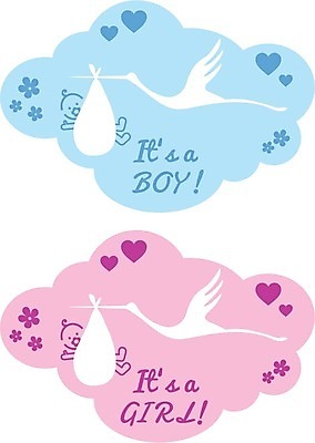 EPS 해외이미지 동물 구름 디자인 여자 남자 꽃 실루엣 어린이 분홍색 백그라운드 날개 일러스트 조류 새로움 사랑 소년 그래픽 파란색 임신 흰색 아기 신생아 신용카드 발표 생일 달콤 만화 심볼 사인 냅킨 기저귀 초대 샤워실 스크랩북 황새 해외202004 해외일러스트 자연요소 식물 기념일 감정 컬러 컨셉 촬영기법 사람 금융 아기용품 맛 샤워시설 파일형식 벡터 이미지허브