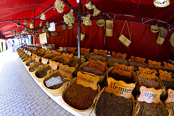 포토 JPG 해외이미지 유럽 거리 건강 사람없음 초록색 스페인 약초 허브 내추럴 생태학 해외202004 해외포토 식물 교육 나라 컬러 풀_식물 파일형식 이미지허브