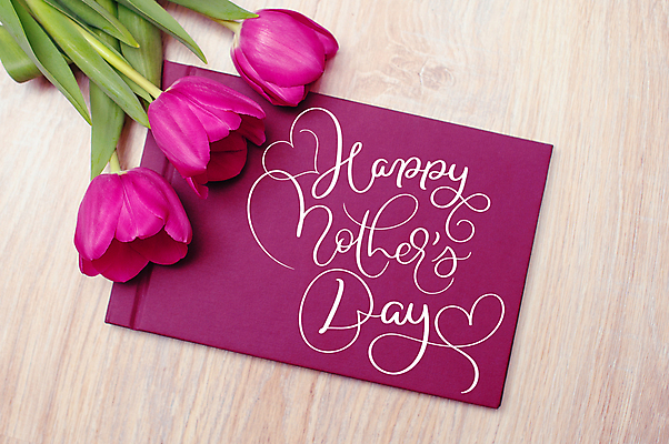 포토 JPG 해외이미지 백그라운드 캘리그라피 프레임 사람없음 튤립 어머니의날 나무배경 해외202004 해외포토 기념일 꽃 미국문화 파일형식 이미지허브