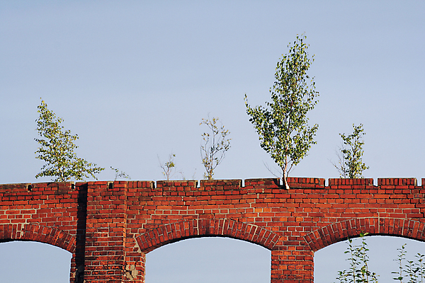 포토 JPG 해외이미지 나무 식물 산업 벽 건축양식 자연 하늘 벽돌 돌담 사람없음 건물 도시 버리기 관목 아치 자작나무 특별함 파멸 해외202004 해외포토 건축물 건축 컨셉 모션 담장 돌_바위 생태계 파일형식 소멸 이미지허브