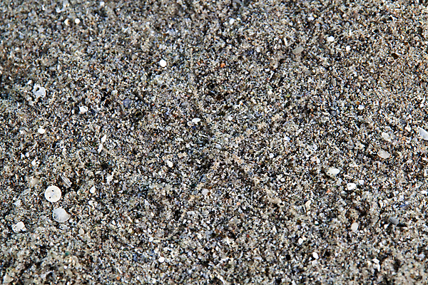 포토 JPG 해외이미지 바다 여행 표면 어류 사람없음 물 파란색 평화 우주 수중 어둠 고요 아래 다이빙 초대 장면 깊이 침몰 해외202004 해외포토 자연요소 컬러 컨셉 수영 수중동물 방향 위치 수중스포츠 파일형식 이미지허브