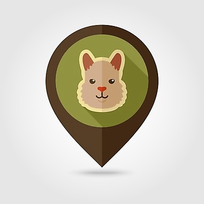 JPG EPS 해외이미지 한마리 일러스트 사람없음 농장 위치 알파카 해외202004 해외일러스트 동물 1 농업 파일형식 벡터 이미지허브