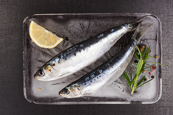 포토 JPG 해외이미지 스튜디오촬영 동물 접시 음식 바다 백그라운드 2 재료 쟁반 건강 어류 요리 사람없음 가로 검은색 식사 저녁식사 활발 신선 쌍 맛 바비큐 지중해 먹기 레몬 허브 해산물 향신료 질감 꼬리 날것 후추 로즈메리 내추럴 점심식사 생식 해외202004 해외포토 식물 식기 컬러 컨셉 과일 모션 실내 수중동물 향미료 파일형식 이미지허브