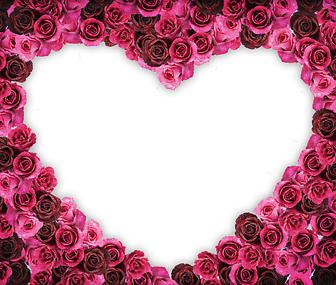 포토 JPG 해외이미지 모양 1 디자인 꽃 분홍색 결혼 백그라운드 컨셉 데이트 텍스트 결혼식 휴가 프레임 발렌타인데이 선물 사랑 미술 이벤트 사람없음 빨간색 장미 우주 꽃병 보라색 놀람 흰색 하트 축하 인사 신용카드 날짜 심볼 싱글 내추럴 고립 카피스페이스 해외202004 해외포토 식물 감정 컬러 데이이벤트 문화예술 표정 금융 공백 예절 파일형식 이미지허브