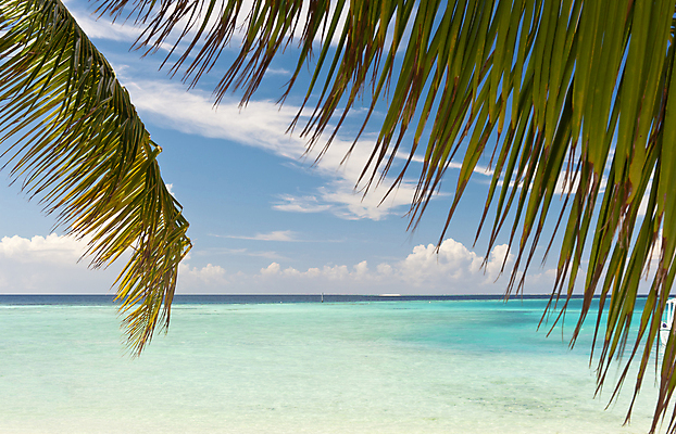 포토 JPG 해외이미지 나무 구름 모래 바다 섬 여행 백그라운드 잎 자연 하늘 휴가 휴식 프레임 손바닥 풍경 사람없음 물 파란색 햇빛 흰색 나뭇가지 만 석호 몰디브 이국적 터키석 파라다이스 해외202004 해외포토 자연요소 식물 손 아시아 컬러 컨셉 태양 보석 생태계 파일형식 이미지허브