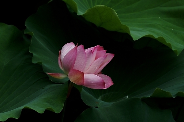 포토 JPG 해외이미지 사람없음 해외202004 해외포토 파일형식 이미지허브