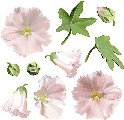 EPS 해외이미지 식물 디자인 계절 꽃잎 꽃 분홍색 꽃다발 잎 꽃무늬 밭 일러스트 자연 친절 장식 초록색 장미 머리 고요 봄 벚꽃 흰색 나뭇가지 신선 개화 우아함 자르기 묘사 오브젝트 향기 내추럴 창백 고립 깊이 꽃수술 아욱 엘리먼트 파스텔톤 해외202004 해외일러스트 나무 컬러 컨셉 무늬 농업 모션 신체부위 생태계 냄새 파일형식 벡터 이미지허브