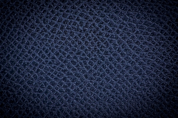 포토 JPG 해외이미지 동물 디자인 옷 종이 백그라운드 패턴 자연 벽지 표면 날씨 추상 사람없음 파란색 갈색 유행 우주 검은색 어둠 공백 수확 직물 거친 주름 고급 선탠 낟알 가죽 피부 묘사 질감 눈금 복고 부드러움 결 숨김 내추럴 깊이 소가죽 옛날 인공 효과 해외202004 해외포토 컬러 컨셉 무늬 농업 신체부위 감각 생태계 파일형식 이미지허브