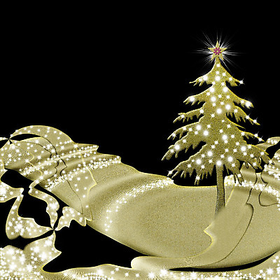 포토 JPG 해외이미지 나무 별 종교 크리스마스 프레임 사람없음 빛 크리스마스트리 산타클로스 검은색 희망 공백 덮개 인사 신용카드 황금 고급 우아함 엽서 전나무 고립 노엘 카피스페이스 해외202004 해외포토 자연요소 식물 기념일 감정 컬러 컨셉 금융 뚜껑 예절 편지 파일형식 이미지허브