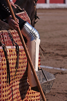 포토 JPG 해외이미지 동물 전통 문화 사람없음 축제 공연 용기 자신감 위험 망토 황소 싸움 민화 스페인어 투우장 해외202004 해외포토 그릇 감정 컨셉 모션 이벤트 소 그림 투우 파일형식 이미지허브