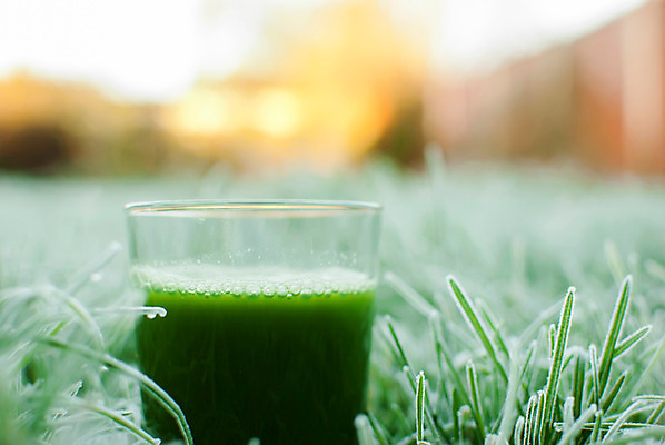 포토 JPG 해외이미지 라이프스타일 음료 음식 백그라운드 잎 다이어트 채소 과일 재료 유리 오이 건강 사람없음 목재 초록색 냉동 식사 주스 봄 에너지 추위 신선 칵테일 사과 먹기 민트 상쾌 유기농 서리 날것 시금치 내추럴 스무디 채식주의자 케일 디톡스 비건 해외202004 해외포토 나무 식물 웰빙 계절 감정 컬러 모션 재질 주류 생활 허브 채식 파일형식 이미지허브