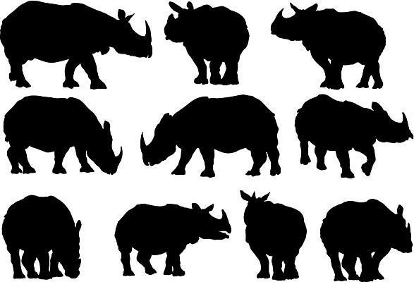 EPS 해외이미지 동물 디자인 실루엣 야생동물 일러스트 포유류 아프리카 자연 동물원 미술 서기 그래픽 검은색 힘 흰색 위험 큼 수집 사파리 그림 클립 육식동물 코뿔소 고립 세렝게티 이국적 힘찬 해외202004 해외일러스트 나라 컬러 컨셉 모션 문화예술 촬영기법 크기 생태계 파일형식 벡터 이미지허브